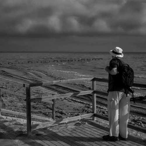 Mirando al mar