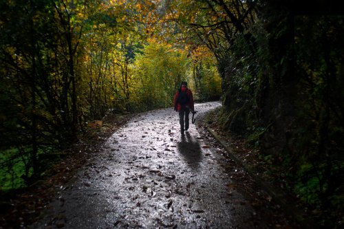 Camino Río Alba