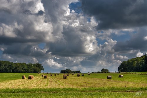 El campo
