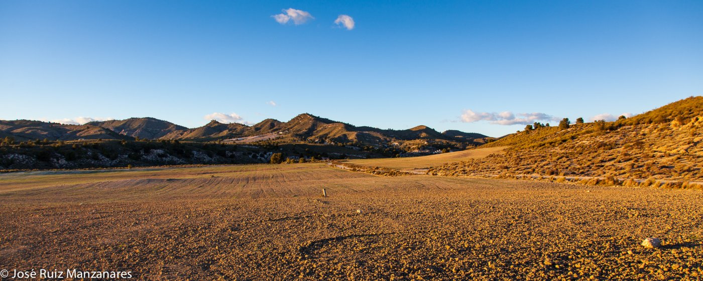 Panorámica. Campo arado en una tarde de invierno.